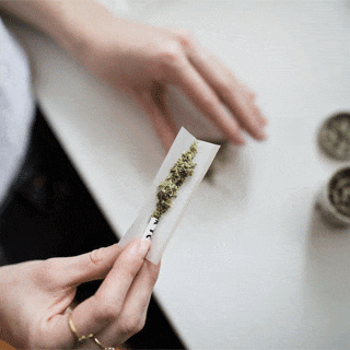 Es consumidor de cannabis y ha sido detenido